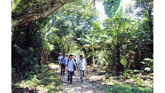 Quang Tri relance le tourisme maritime et insulaire ảnh 1