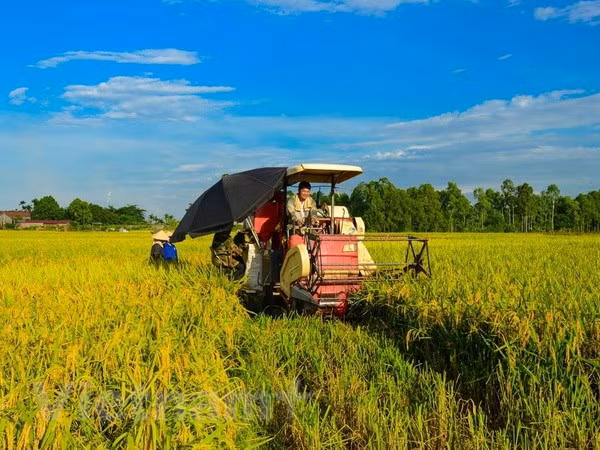 "Villages intelligents face au climat" - un modèle s'adapte au changement climatique ảnh 1