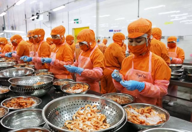 Une nouvelle résolution pour favoriser le développement des industries auxiliaires ảnh 1