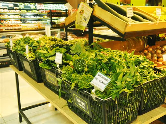 Construire et développer des chaînes de valeur pour les produits agricoles d’exportation ảnh 1