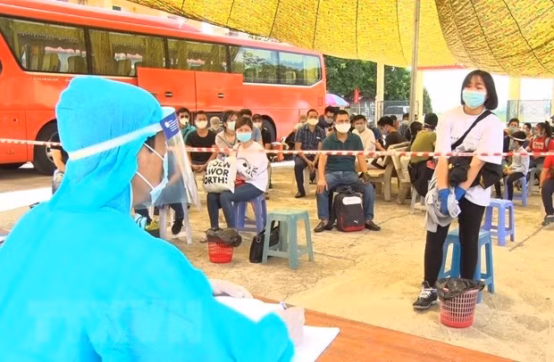 COVID-19 : pas de transmission locale depuis 15 jours ảnh 1