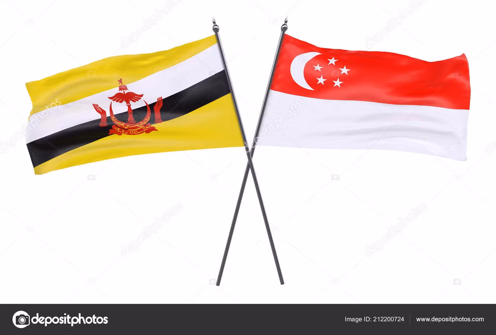 Singapour et le Brunei s'engagent à renforcer leur coopération en matière de défense ảnh 1