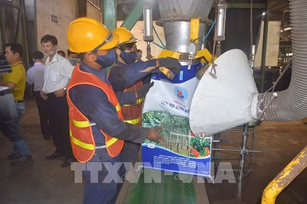 Binh Duong : mise en service d'une usine de transformation de déchets en engrais ảnh 1