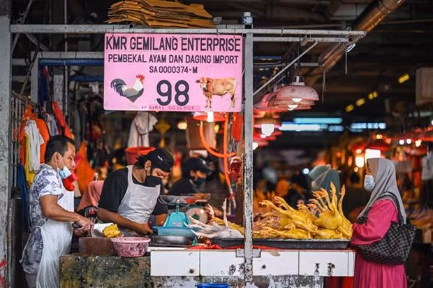 La plupart des Malaisiens sont satisfaits et heureux de la vie ảnh 1