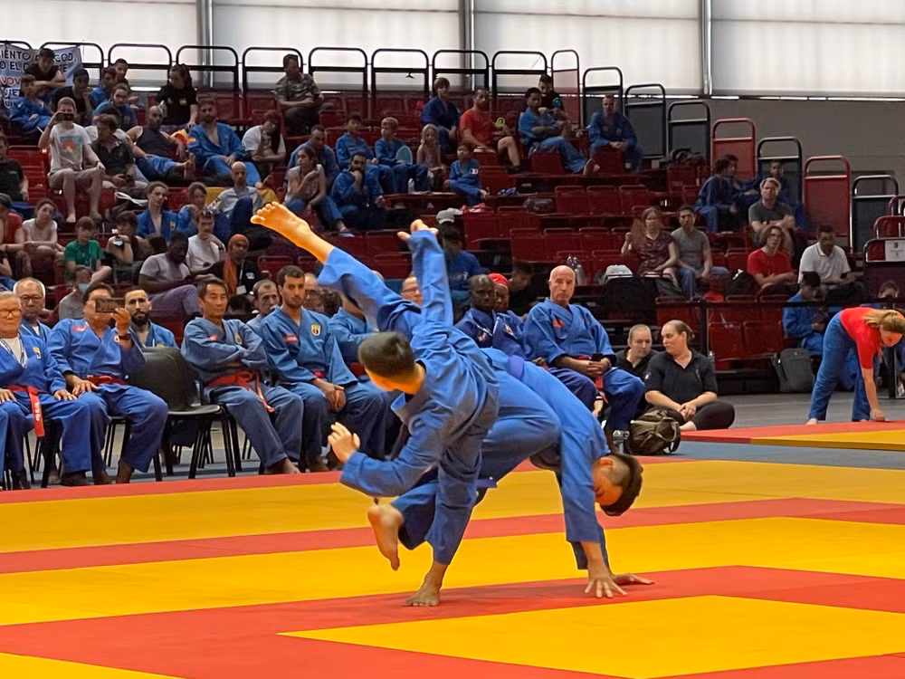 Une centaine de médaille remise à la 6e Coupe du Monde de Vovinam - Việt Võ Đạo en France ảnh 3