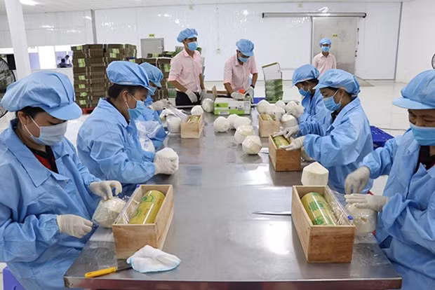 La filière fruits et légumes doit se moderniser pour mieux exporter ảnh 1