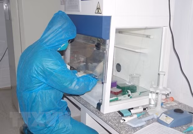 COVID-19 : plus de 1.100 nouveaux cas signalés en 24 heures ảnh 1