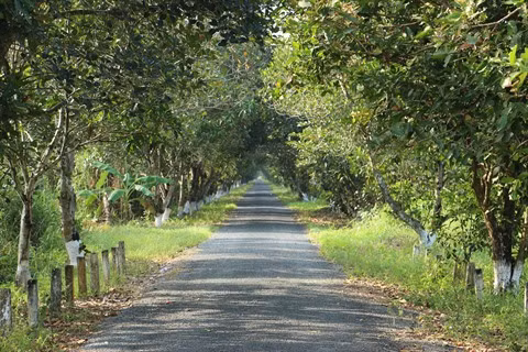 Un grand bol de nature à U Minh Ha ảnh 2