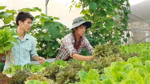 Pham Công Chinh ou l’incarnation de l’agriculteur 2.0 ảnh 1