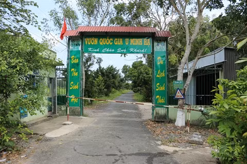 Un grand bol de nature à U Minh Ha ảnh 1