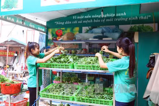 S'orienter vers une agriculture durable et responsable ảnh 1