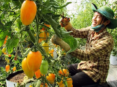 Les relations Vietnam-Japon sur de bons rails ảnh 2