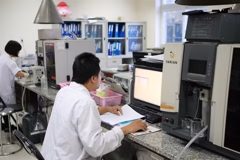 Les intellectuels au centre d'une conférence à Hô Chi Minh-Ville ảnh 1