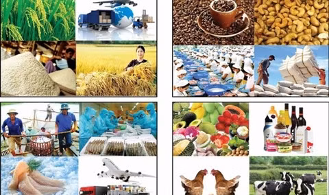 Hausse de 10% des exportations nationales prévue en 2016 ảnh 3