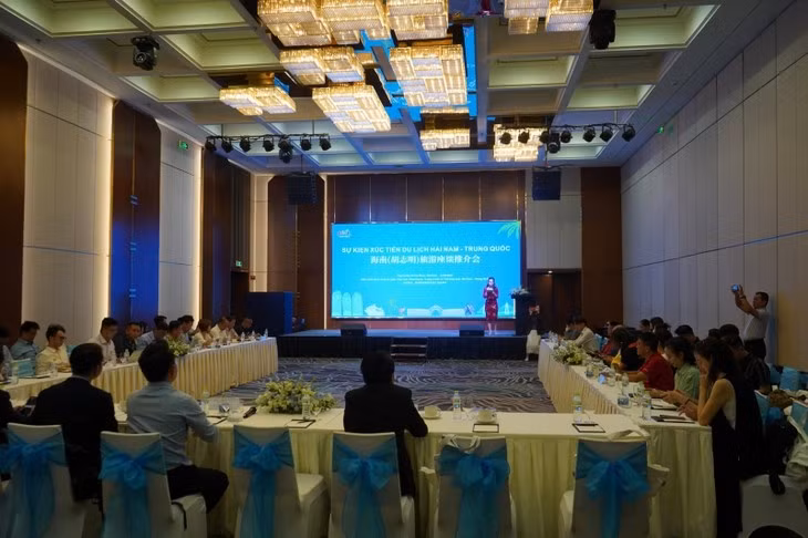 Le Hainan vante son potentiel touristique à Hô Chi Minh-ville ảnh 1