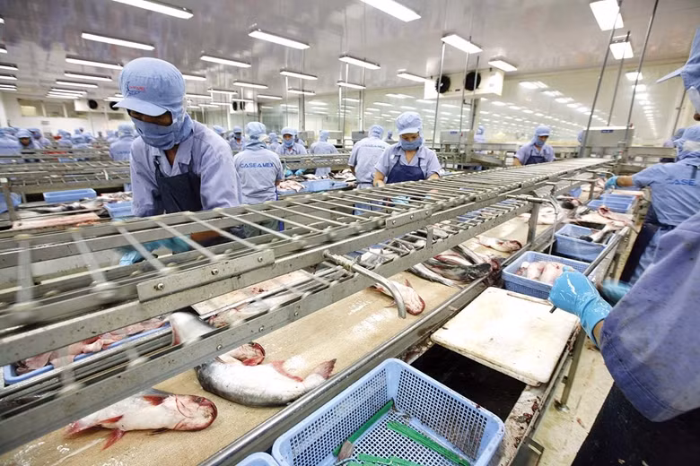 Rebond des exportations de produits aquatiques à la première quinzaine de février ảnh 1