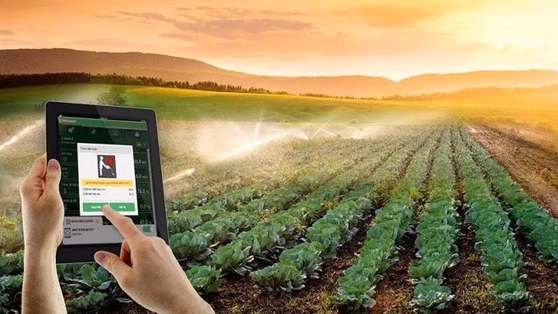 Vers une agriculture durable grâce aux applications scientifique et technologique ảnh 1