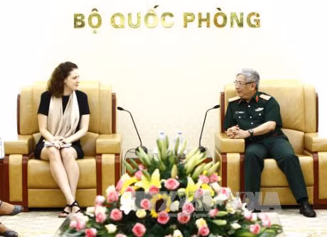 Le Vietnam renforce sa participation à des opérations de maintien de la paix de l'ONU ảnh 1