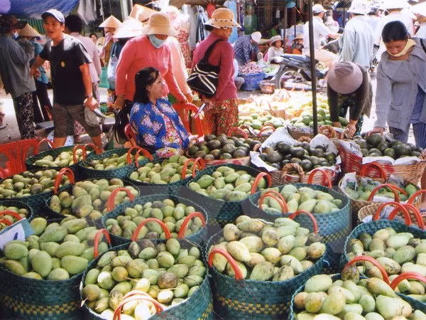 Vietnam et Nouvelle-Zélande promeuvent leur partenariat intégral ảnh 1