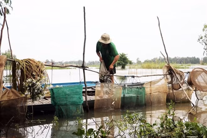 Delta du Mékong: les inondations devraient arriver plus tôt cette année ảnh 1 Delta du Mékong: les inondations devraient arriver plus tôt cette année ảnh 1
