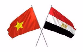 Le Vietnam et l'Egypte promeuvent le commerce et la connectivité des investissements ảnh 1