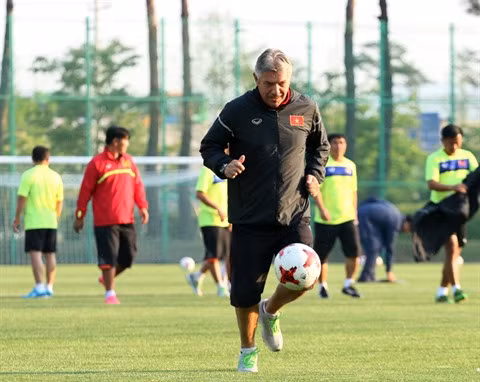L’homme de l’ombre du football vietnamien ảnh 2