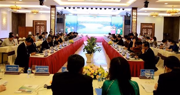 Gia Lai présente ses forces et son potentiel à des partenaires étrangers ảnh 1