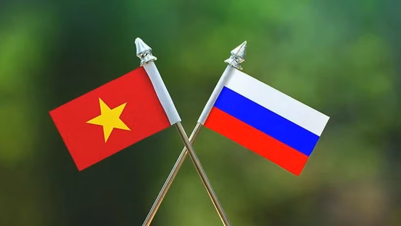 Coopération renforcée entre le Vietnam et la Russie dans divers domaines ảnh 1