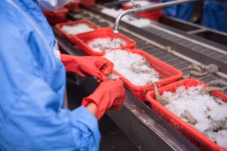 Une rebond des exportations nationales de produits aquatiques attendu au deuxième trimestre ảnh 1