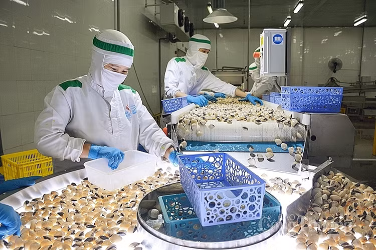 5 mois: le déficit commercial du Vietnam avec de nombreux grands marchés en forte chute ảnh 1