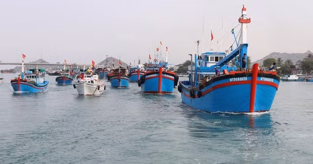 Les pêcheurs de Quang Nam veulent faire retirer le carton jaune sur la pêche INN ảnh 1