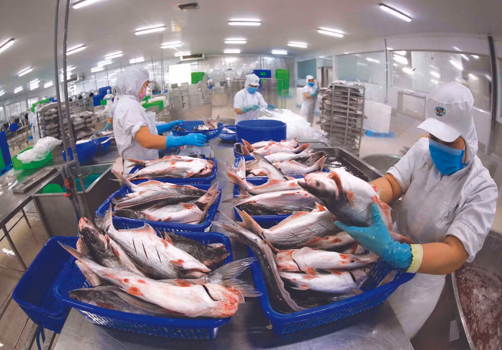 L’EVFTA trois ans après sa mise en œuvre ảnh 2