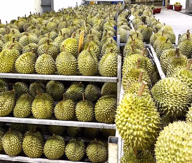 Le commerce et l'investissement, deux moteurs de croissance du Vietnam en 2023 ảnh 1