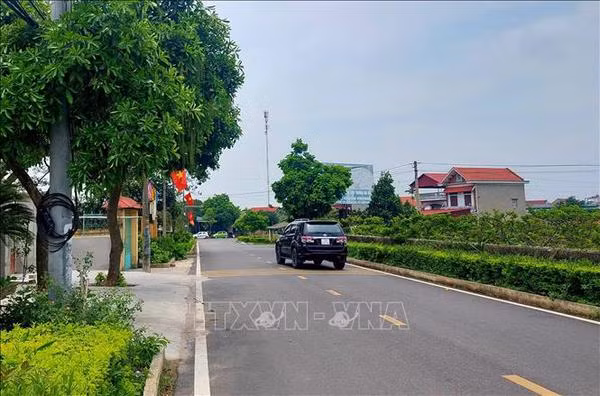 Dong Trieu s'efforce de devenir un modèle de Nouvelle Ruralité exemplaire de Quang Ninh ảnh 1
