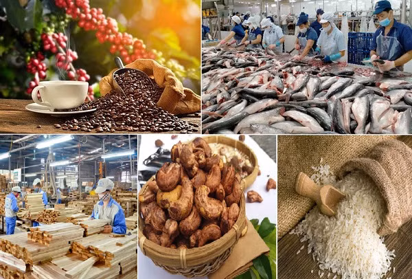 Les exportations de produits agricoles, sylvicoles et aquacoles en baisse en janvier ảnh 1