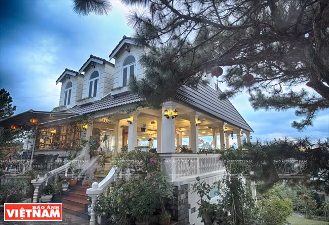 Le café An Nhiên, un petit coin de sérénité au cœur de Da Lat ảnh 1