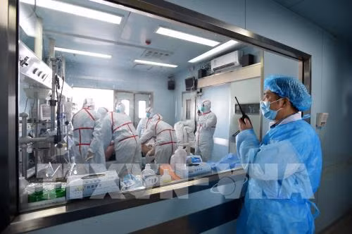 Chine: deux cas humains de grippe aviaire H7N9 signalés au Guangxi ảnh 1