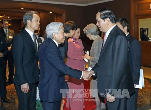 Tran Dai Quang dit au revoir à l’empereur japonais avant son départ pour Hue ảnh 1