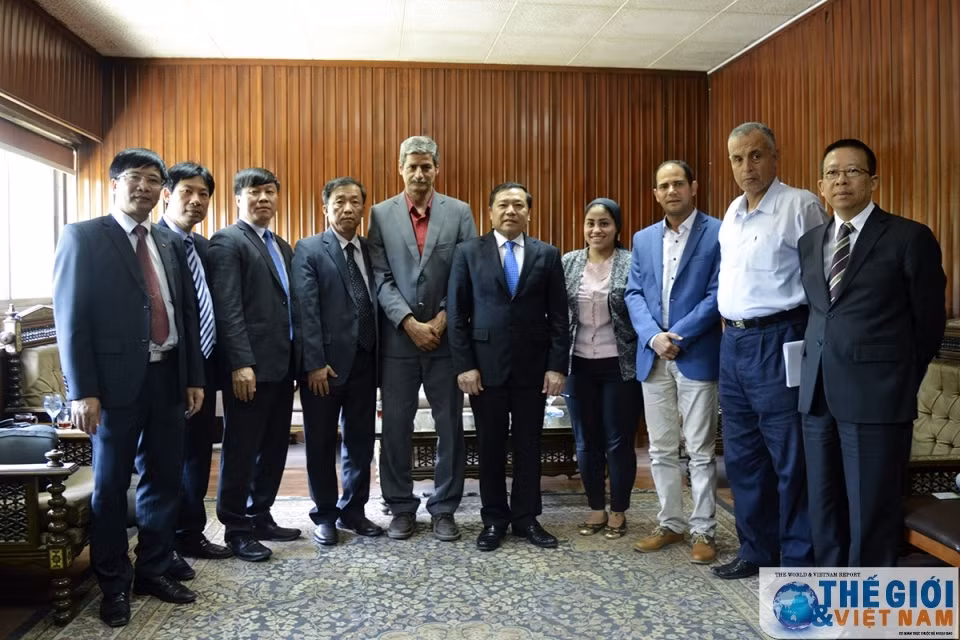 L’Association des agriculteurs vietnamiens en visite de travail en Égypte ảnh 1
