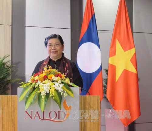 Echanges professionnels entre les deux bureaux de l'AN du Vietnam et du Laos ảnh 1