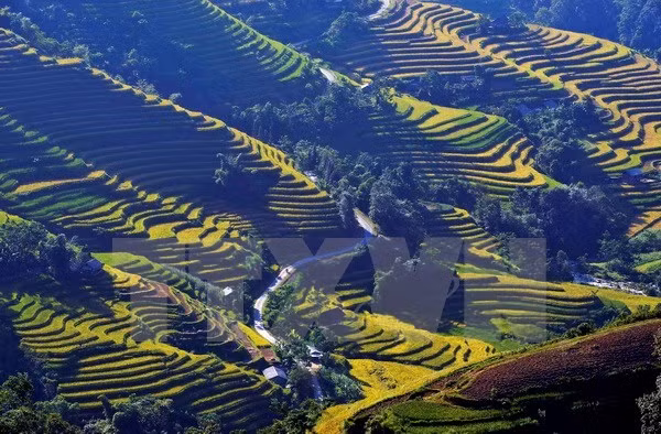 Des communistes italiens en visite de travail à Ha Giang ảnh 1 Des communistes italiens en visite de travail à Ha Giang ảnh 1