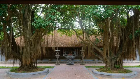 La tête et le cœur du village traditionnel ảnh 2