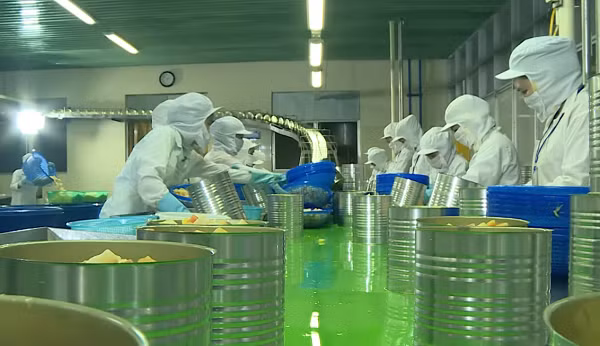Alimentaire: un nouveau projet du groupe sud-coréen mis en chantier à Hô Chi Minh-Ville ảnh 1