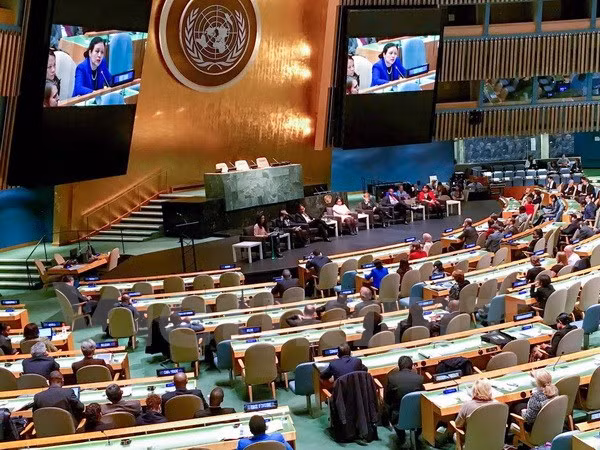 Le Vietnam s'engage à coopérer étroitement avec le PNUD ảnh 1