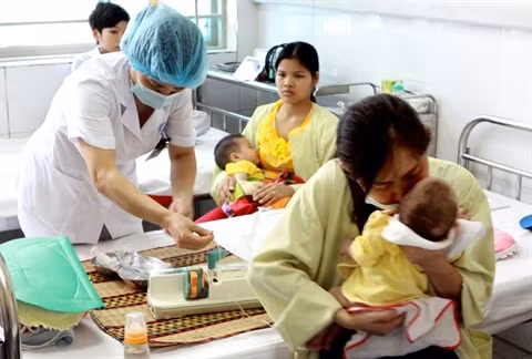 Hô Chi Minh-Ville améliore la qualité des soins médicaux ảnh 2