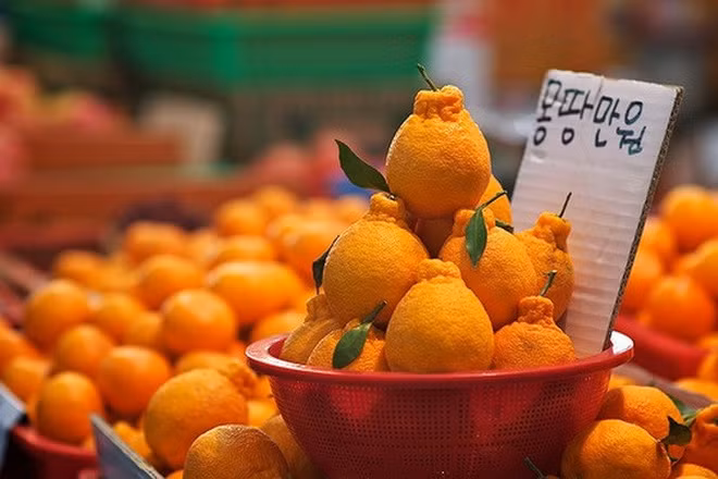 Le Vietnam, marché stratégique pour l’export de la R. de Corée ảnh 1