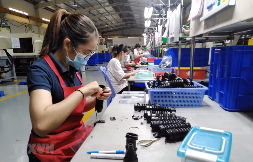 Forte croissance des IDE injectés à Ho Chi Minh-Ville et Dong Nai en six mois ảnh 2