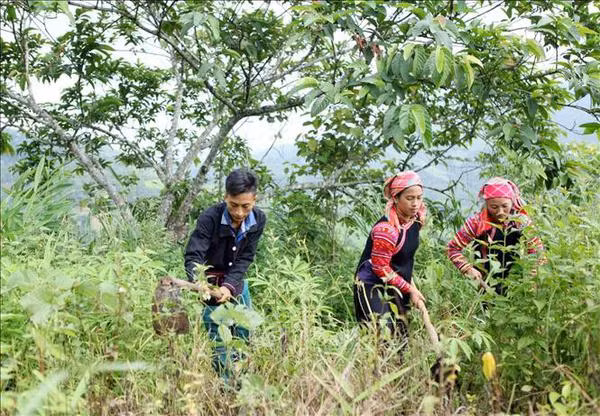 📝 Édito: Le Vietnam promeut les économies d'énergie pour un double objectif ảnh 4