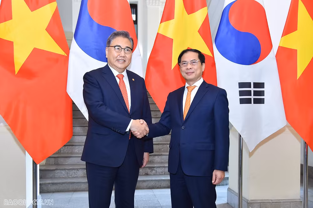 Le ministre des AE Bui Thanh Son s'entretient avec son homologue sud-coréen Park Jin ảnh 1