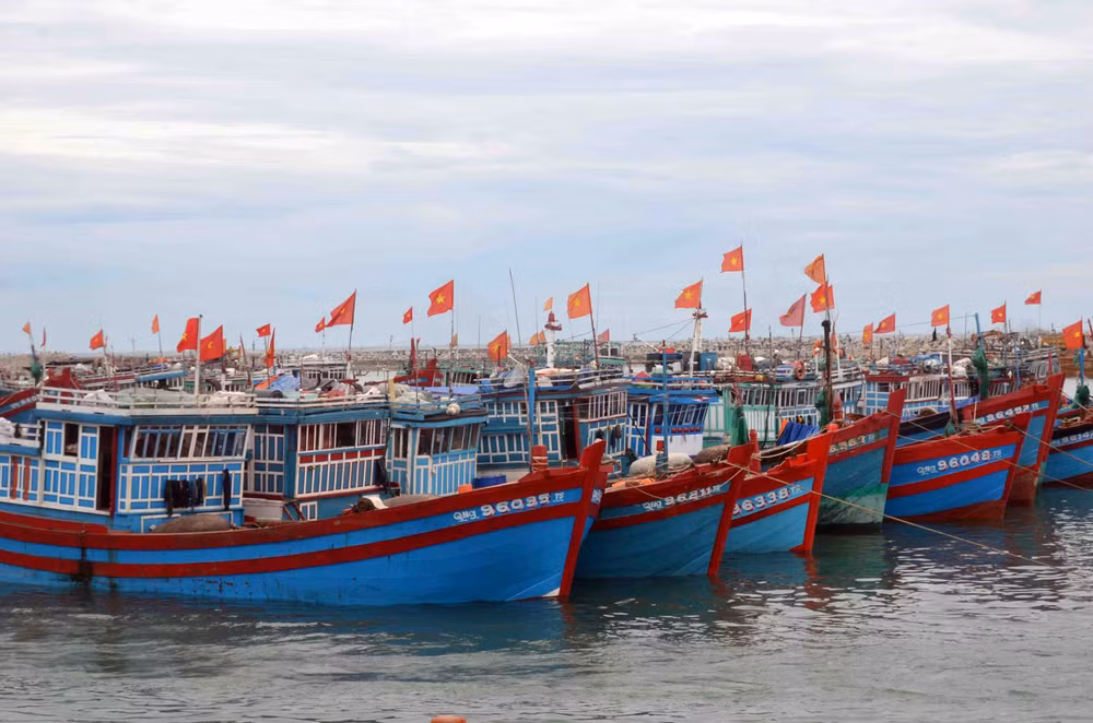 La province de Tra Vinh s’efforce d’empêcher les activités de pêche illicite ảnh 1